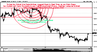 Fxringleader's chart