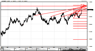 Limak_test's chart
