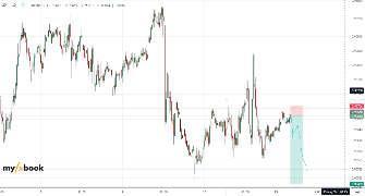 FullyInvested's chart