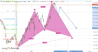 Fxrobuk's chart