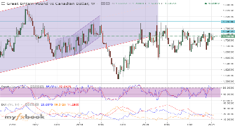 shimpy's chart