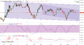 shimpy's chart