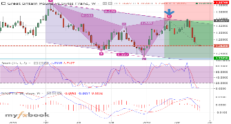 shimpy's chart
